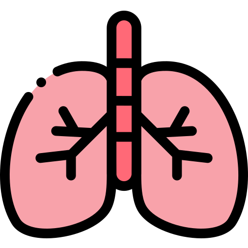 Lungs Detailed Rounded Lineal color icon