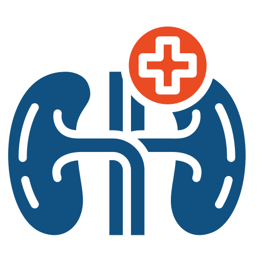 Kidney free icon