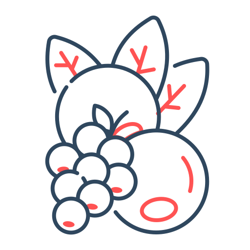 Berries free icon Berries free icon