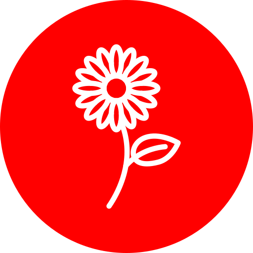 girasol icono gratis