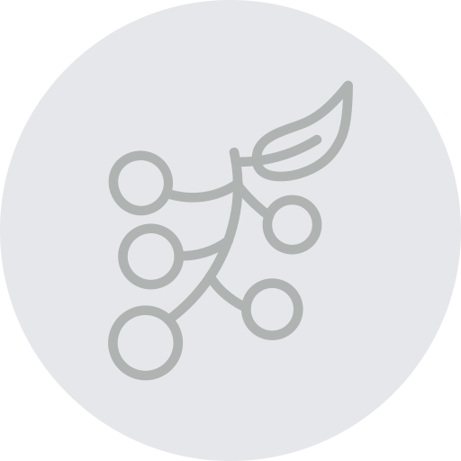 Rowan free icon Rowan free icon