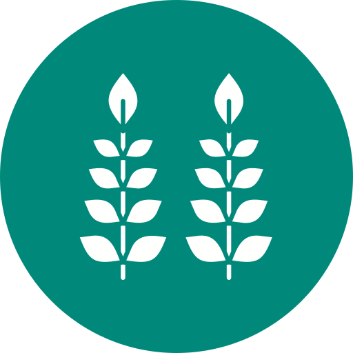 Wheat free icon