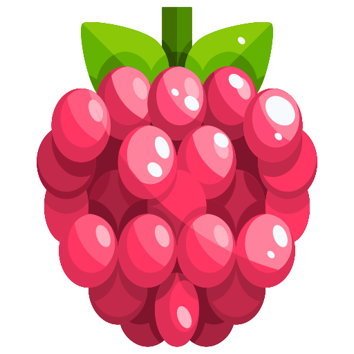 Raspberry - Free food icons