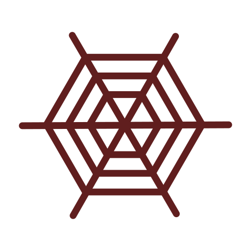 Spider web free icon