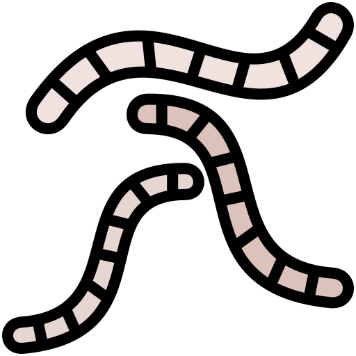 벌레 무료 아이콘