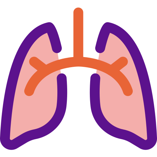 Pulmones icono gratis