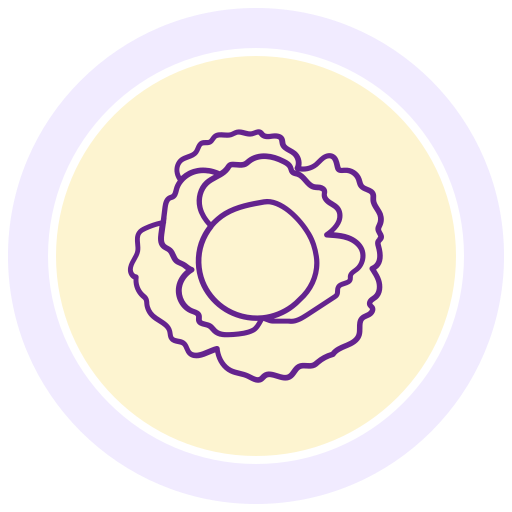 자우어크라우트 무료 아이콘 자우어크라우트 무료 아이콘