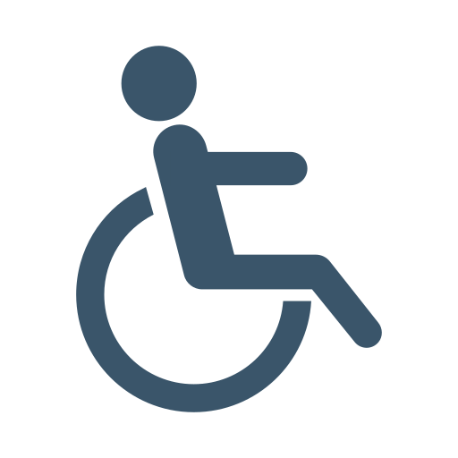 Disability Dinosoft Flat Icon