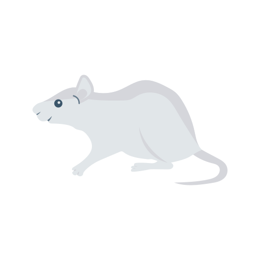 Ratón icono gratis