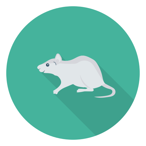 Ratón icono gratis