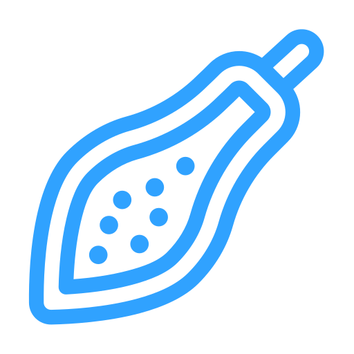 papaya icono gratis