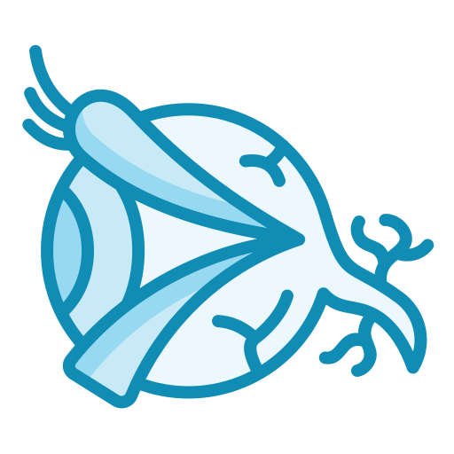 눈 무료 아이콘