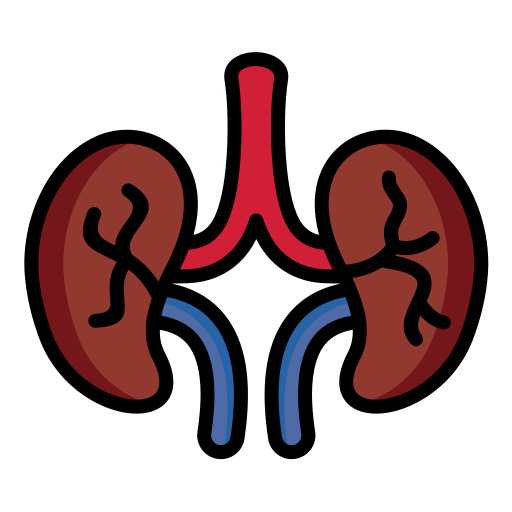 신장 무료 아이콘