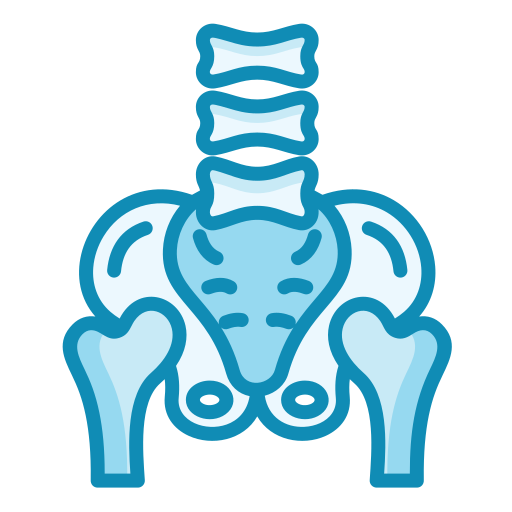 pelvis icono gratis