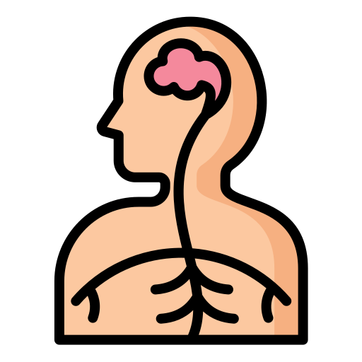 nervio icono gratis