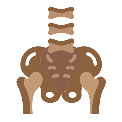 pelvis icono gratis