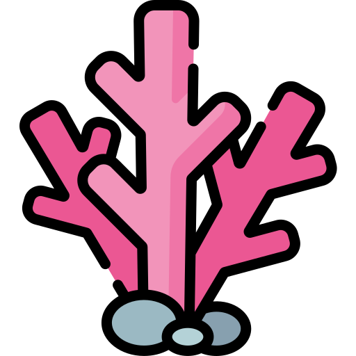 Coral grátis ícone Coral grátis ícone
