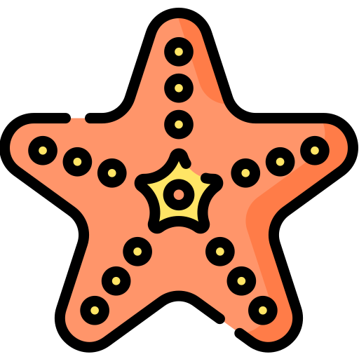 Starfish Special Lineal color icon