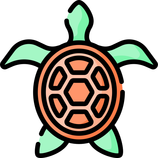 Turtle Special Lineal color icon