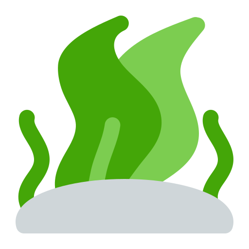 해초 무료 아이콘