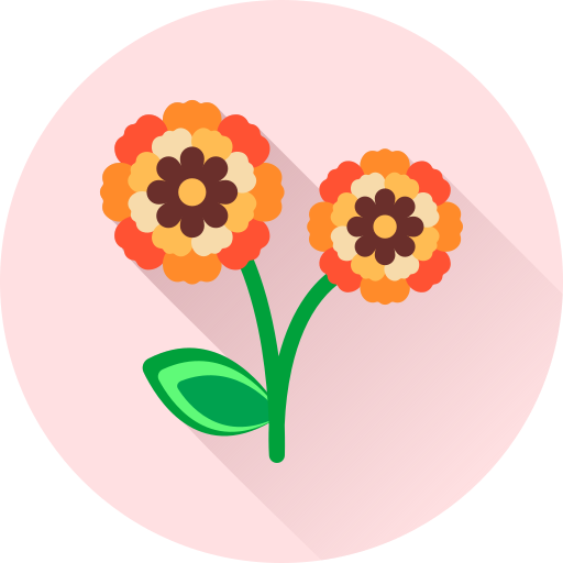 Flower free icon