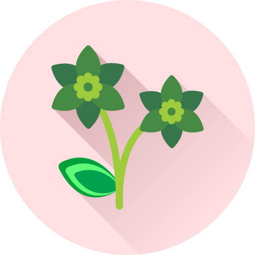 꽃 무료 아이콘