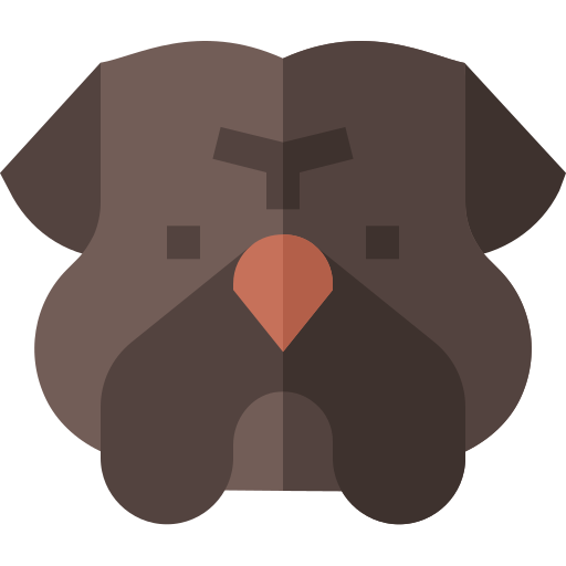 개 무료 아이콘