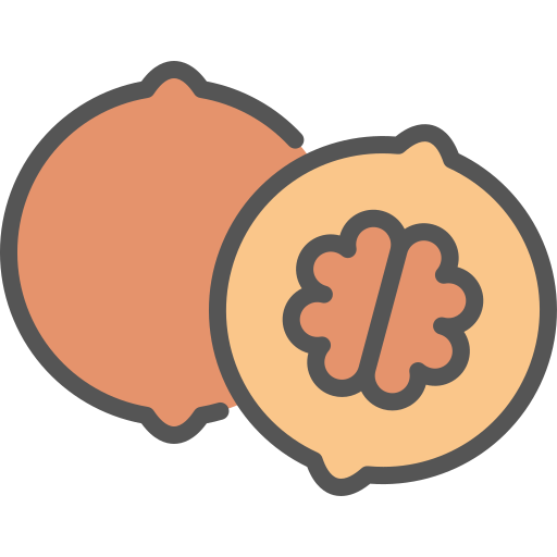Walnut free icon