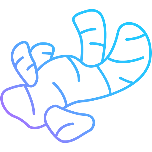 cúrcuma icono gratis