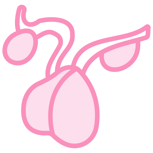 pituitaria icono gratis