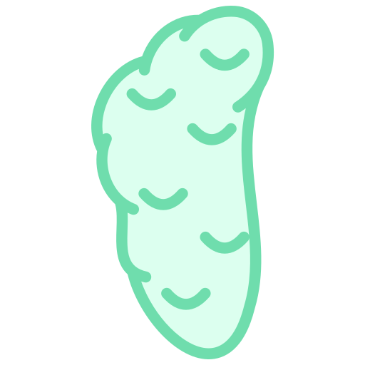 glándulas icono gratis