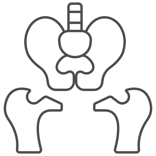 hueso de la pelvis icono gratis