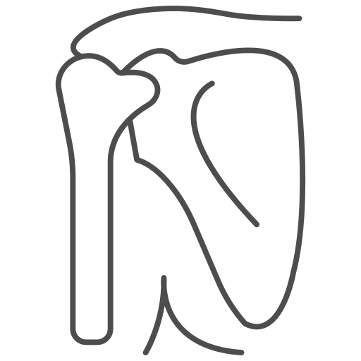 Shoulder bone free icon