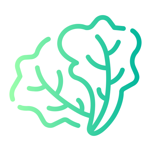 lechuga icono gratis