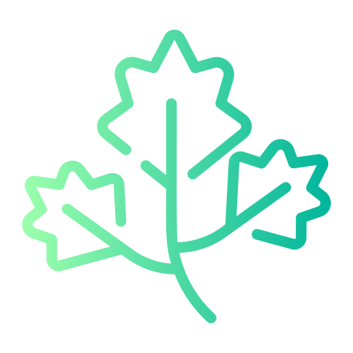 Parsley free icon