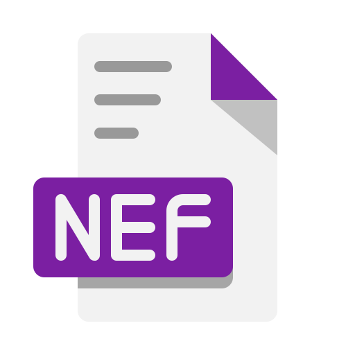 nef icono gratis