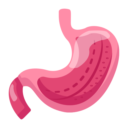 Желудок бесплатно иконка