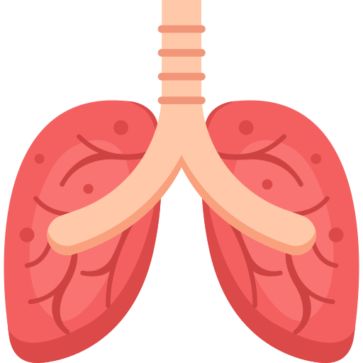 pulmones icono gratis