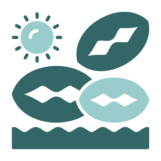 strand kostenlos Icon