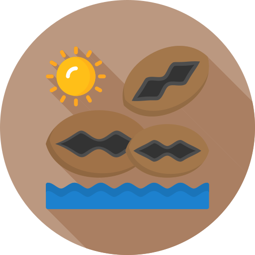 해변 무료 아이콘