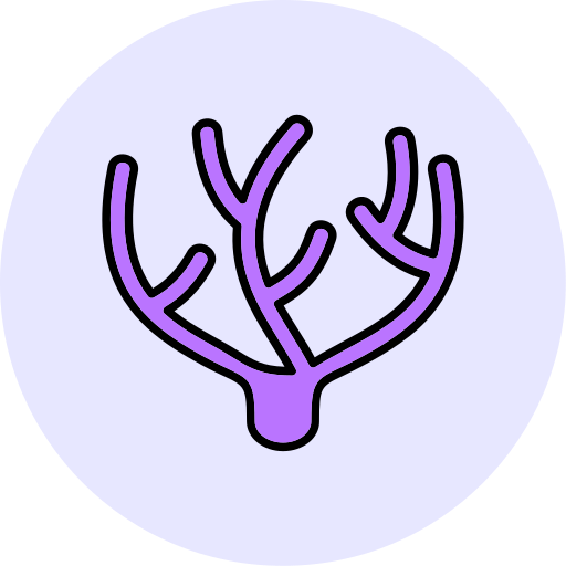 corail Icône gratuit corail Icône gratuit