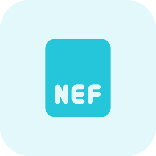 Nef icono gratis