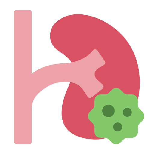 신장암 무료 아이콘