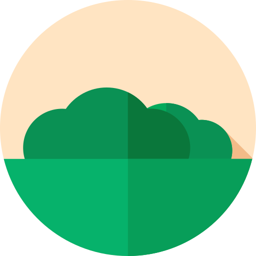 Forest free icon Forest free icon