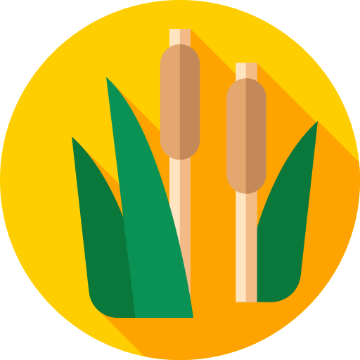 Typha icono gratis