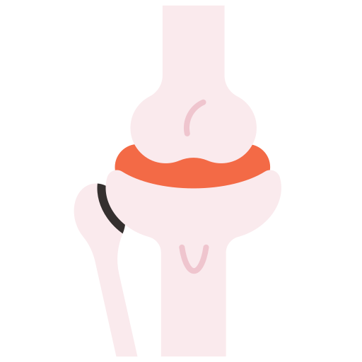 Joint free icon
