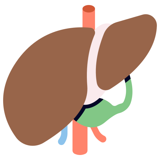 Liver free icon