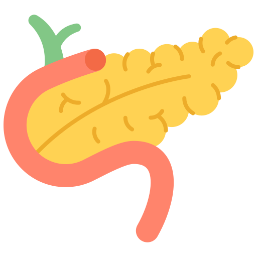 páncreas icono gratis