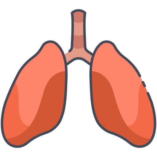 pulmones icono gratis