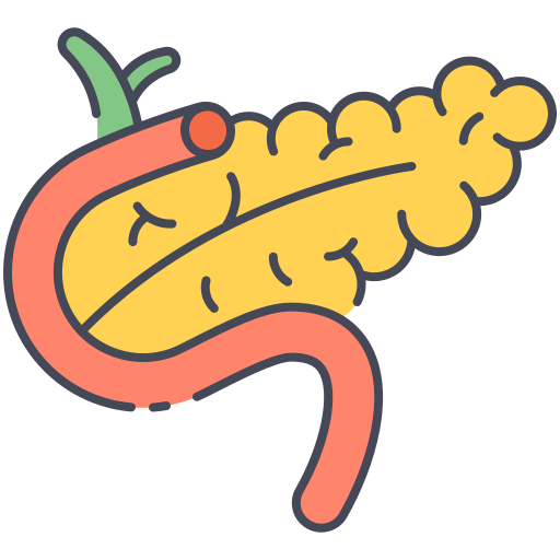 Pancreas free icon Pancreas free icon